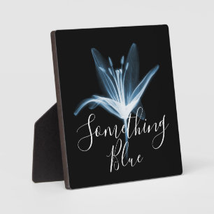 Iets Blauwe Röntgenlelie Bloem Bruiloft Fotoplaat