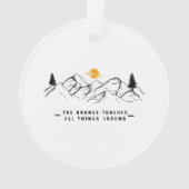 IETS IN HET SINAASAPPEL ORNAMENT (voorkant)