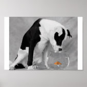 Iets om te eten? poster (Voorkant)