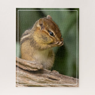 Iets ruikt naar chipmunk legpuzzel