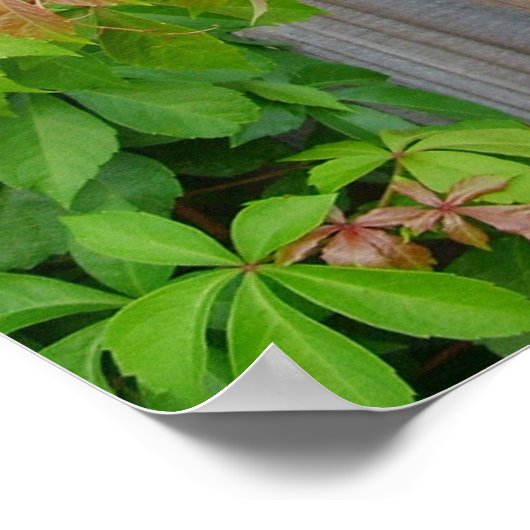 IF, gedicht door Rudyard Kipling poster (Hoek)