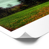 If God Played Dice with the Universe Poster (Coin)