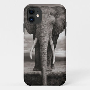 ifoon, olifant iPhone 11 hoesje
