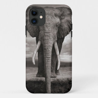 ifoon, olifant iPhone 11 hoesje