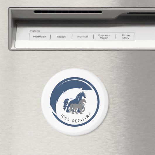 IGEA MAGNET (In Situ (Lave-vaisselle))