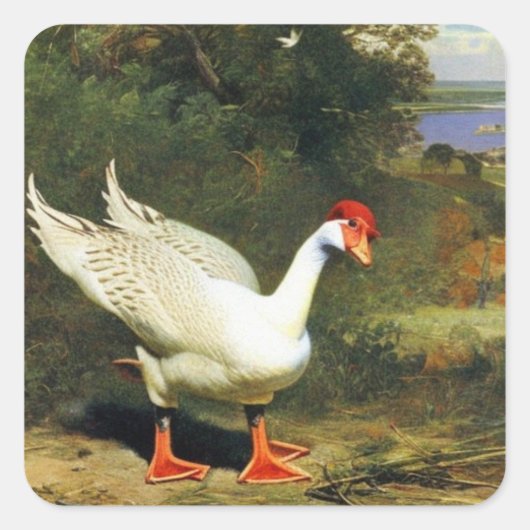 IGF-Sticker Vierkante Sticker (Voorkant)