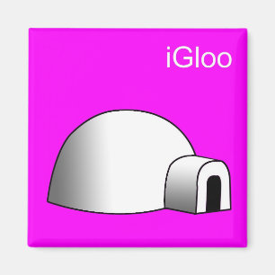 iGloo Magnet Magneet