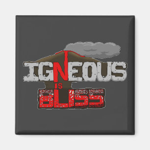 Igneous is Bliss Volcano Magnet Magneet