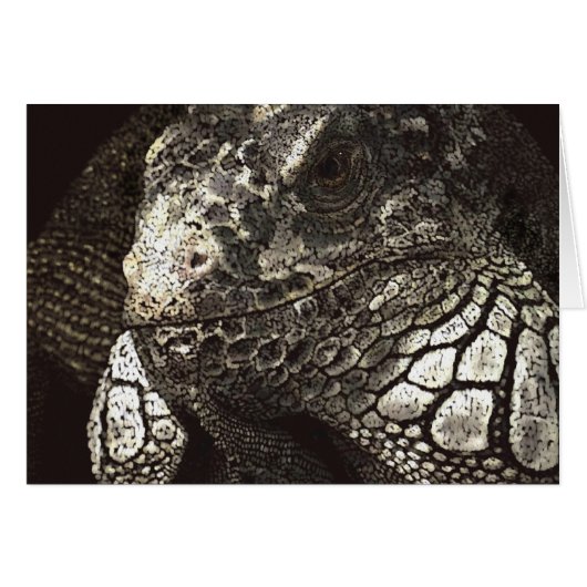 Iguana (Voorkant Horizontaal)