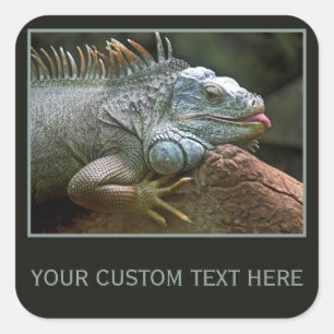 Iguana aangepaste stickers