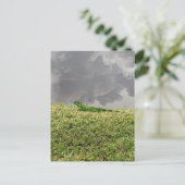 Iguana Briefkaart (Staand voorkant)