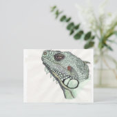Iguana Briefkaart (Staand voorkant)