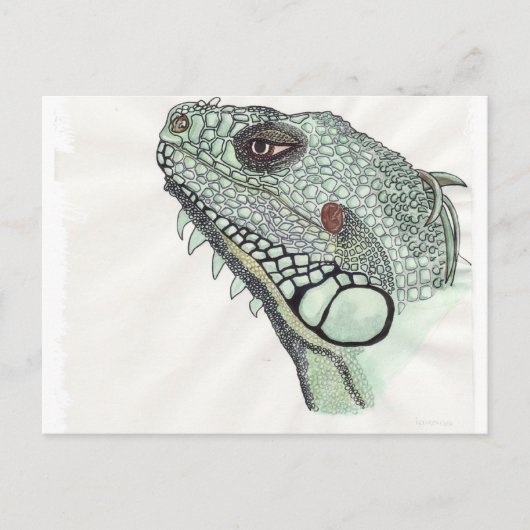Iguana Briefkaart (Voorkant)