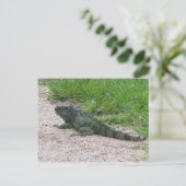 Iguana Briefkaart (Staand voorkant)