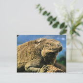 Iguana Briefkaart (Staand voorkant)