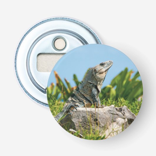 Iguana Button Flesopener (Voorkant)
