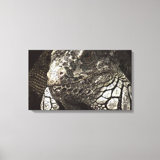 Iguana Canvas Afdruk (Voorkant)