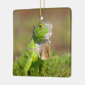Iguana Ceramic Ornament (Links)