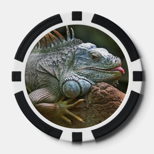 Iguana custom poker chips (Voorkant)