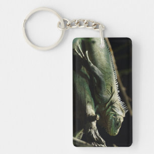 Iguana delicatissima sleutelhanger