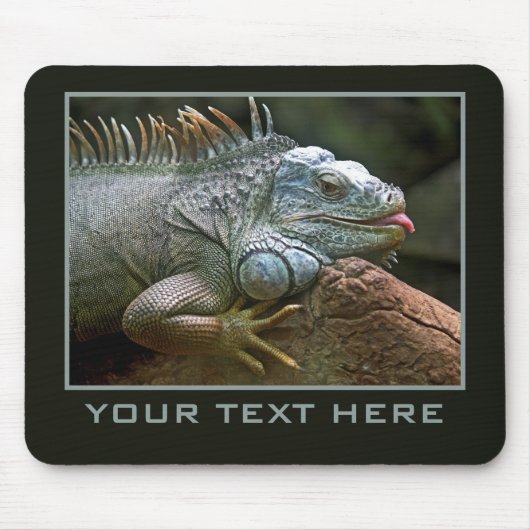 Iguana douane mousepad muismat (Voorkant)