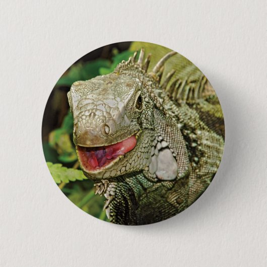 Iguana green ronde button 5,7 cm (Voorkant)