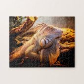 Iguana Head Close up, Jigsaw Puzzle (Horizontal)