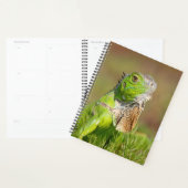 Iguana in Florida 2024 Planner (Display)