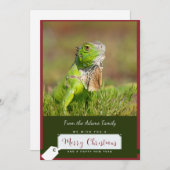 Iguana Kerst Kaart (Voorkant / Achterkant)