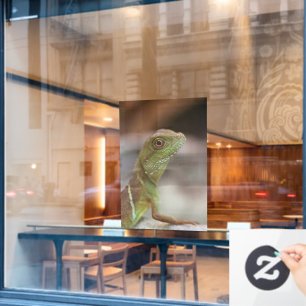 Iguana kiss raamsticker