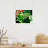 Iguana kunstmuur voor decoratie. poster (Keuken)