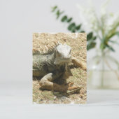 Iguana Lizard Briefkaart (Staand voorkant)