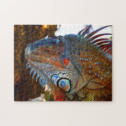 Iguana Lizard Floride. Jigsaw Puzzle (Horizontal)