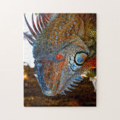 Iguana Lizard Floride. Jigsaw Puzzle (Vertical)