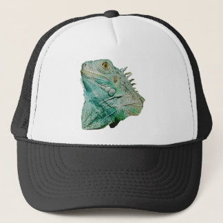 Iguana Lizard Trucker Pet