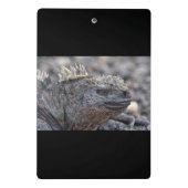 Iguana Mini Klembord (Achterkant)