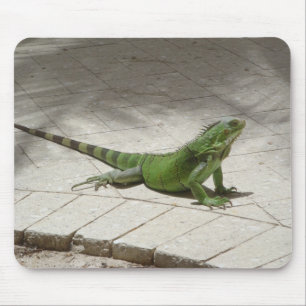 Iguana mousepad muismat