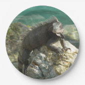 Iguana op de Rocks in St. Thomas Papieren Bordje (Voorkant)