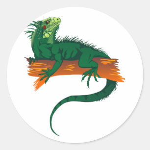 Iguana op een filiaal ronde sticker