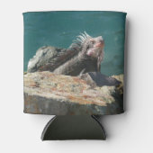 Iguana op St. Thomas Blikjeskoeler (Voorkant)