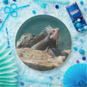 Iguana op St. Thomas Papieren Bordje (Feest)