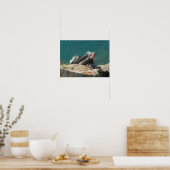 Iguana op St. Thomas Poster (Keuken)