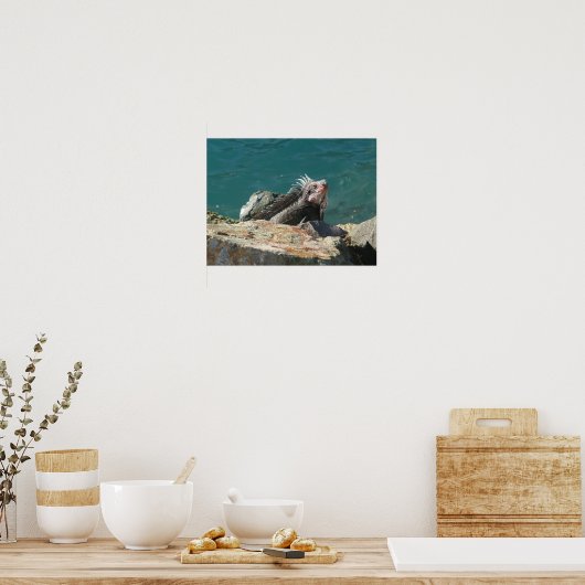 Iguana op St. Thomas Poster (Keuken)