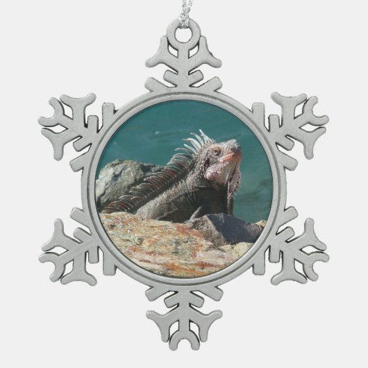 Iguana op St. Thomas Tin Sneeuwvlok Ornament (Voorkant)