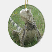 Iguana Ornament (Links)