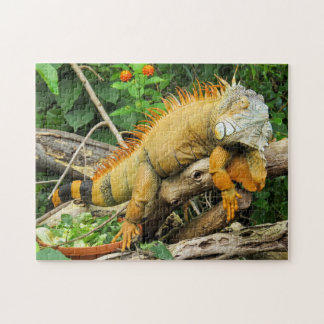 Iguana pet legpuzzel
