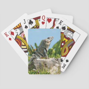 Iguana Pokerkaarten