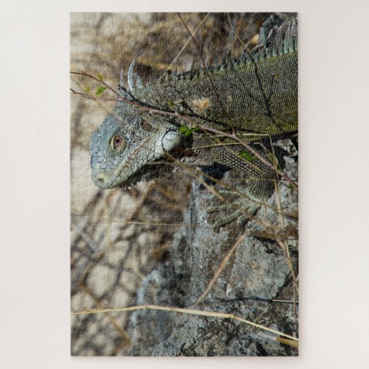 Iguana Posing on Rock for Camera Legpuzzel (Verticaal)