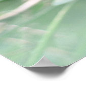 Iguana Poster (Hoek)