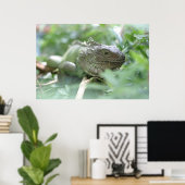 Iguana Poster (Thuiskantoor)